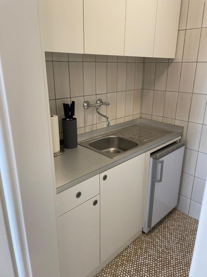 Sophie Superior Apartment Карлсруэ Экстерьер фото
